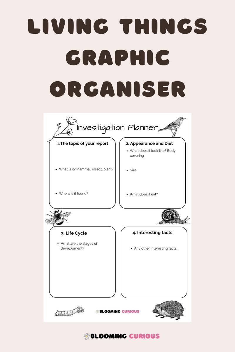 Living Things graphic organiser